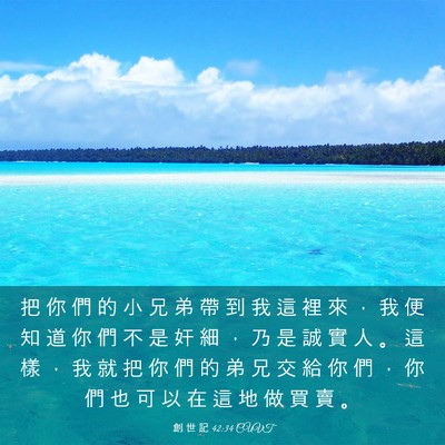 Picture 03 - 創 世 記 42:34 CUVT - 把 你 們 的 小 兄 弟 帶 到 我 這 裡 - Bible Verse Picture