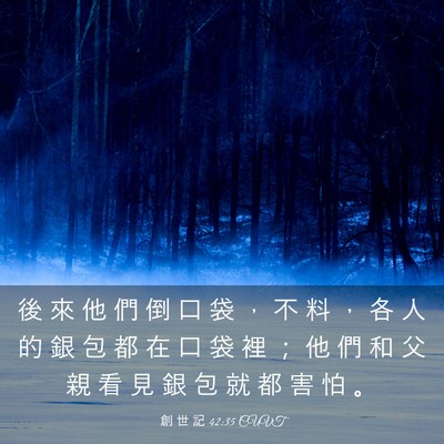 Picture 03 - 創 世 記 42:35 CUVT - 後 來 他 們 倒 口 袋 ， 不 料 ， 各 - Bible Verse Picture
