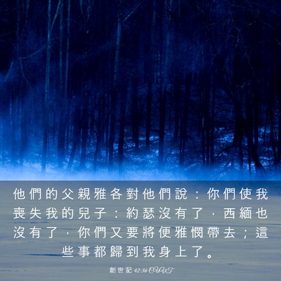 Picture 03 - 創 世 記 42:36 CUVT - 他 們 的 父 親 雅 各 對 他 們 說 ： - Bible Verse Picture