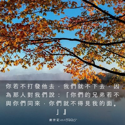 Picture 03 - 創 世 記 43:5 CUVT - 你 若 不 打 發 他 去 ， 我 們 就 不 - Bible Verse Picture