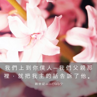 Picture 03 - 創 世 記 44:24 CUVT - 我 們 上 到 你 僕 人 ─ 我 們 父 親 - Bible Verse Picture