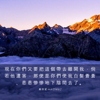 Picture 03 - 創 世 記 44:29 CUVT - 現 在 你 們 又 要 把 這 個 帶 去 離 - Bible Verse Picture