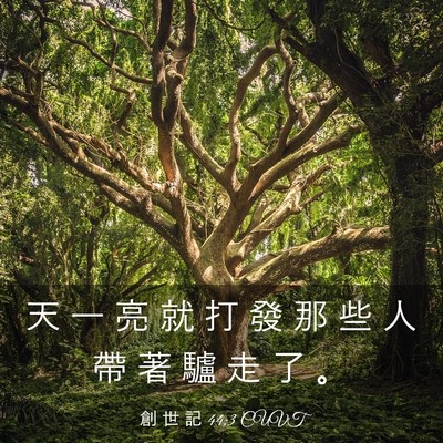 Picture 03 - 創 世 記 44:3 CUVT - 天 一 亮 就 打 發 那 些 人 帶 著 驢 - Bible Verse Picture