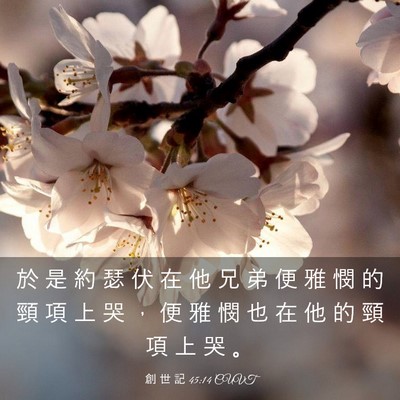 Picture 03 - 創 世 記 45:14 CUVT - 於 是 約 瑟 伏 在 他 兄 弟 便 雅 憫 - Bible Verse Picture
