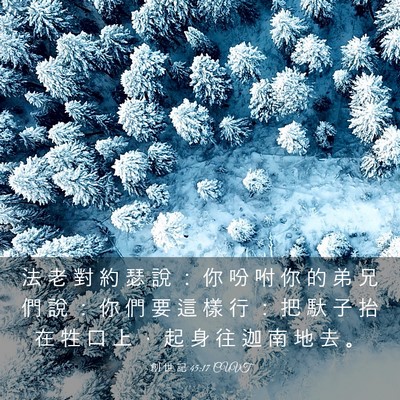Picture 03 - 創 世 記 45:17 CUVT - 法 老 對 約 瑟 說 ： 你 吩 咐 你 的 - Bible Verse Picture