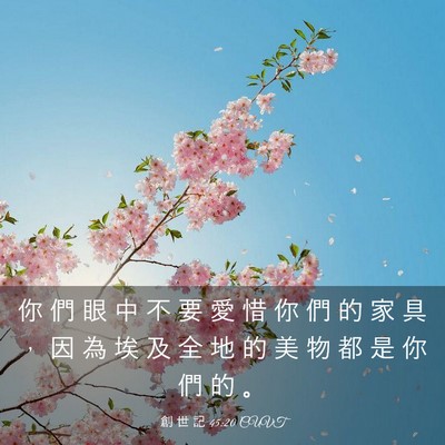 Picture 03 - 創 世 記 45:20 CUVT - 你 們 眼 中 不 要 愛 惜 你 們 的 家 - Bible Verse Picture