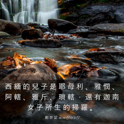 Picture 03 - 創 世 記 46:10 CUVT - 西 緬 的 兒 子 是 耶 母 利 、 雅 憫 - Bible Verse Picture