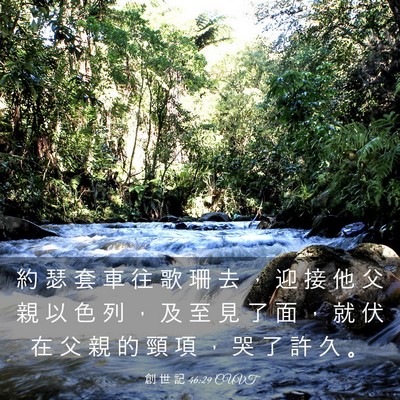 Picture 03 - 創 世 記 46:29 CUVT - 約 瑟 套 車 往 歌 珊 去 ， 迎 接 他 - Bible Verse Picture
