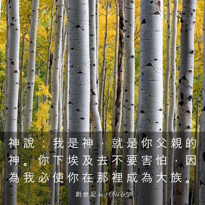 Picture 03 - 創 世 記 46:3 CUVT - 神 說 ： 我 是 神 ， 就 是 你 父 親 - Bible Verse Picture