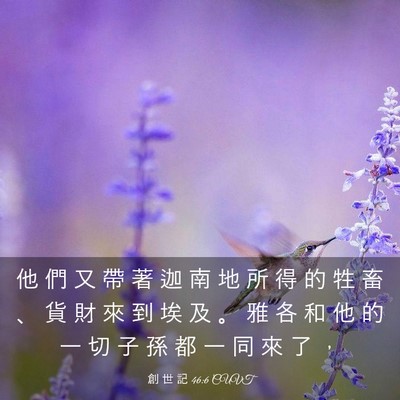Picture 03 - 創 世 記 46:6 CUVT - 他 們 又 帶 著 迦 南 地 所 得 的 牲 - Bible Verse Picture