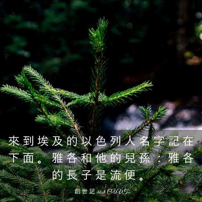 Picture 03 - 創 世 記 46:8 CUVT - 來 到 埃 及 的 以 色 列 人 名 字 記 - Bible Verse Picture