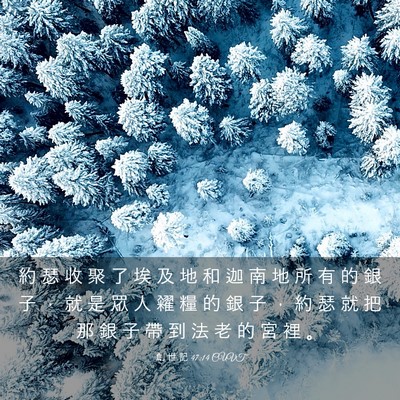 Picture 03 - 創 世 記 47:14 CUVT - 約 瑟 收 聚 了 埃 及 地 和 迦 南 地 - Bible Verse Picture