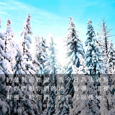 Picture 03 - 創 世 記 47:23 CUVT - 約 瑟 對 百 姓 說 ： 我 今 日 為 法 - Bible Verse Picture