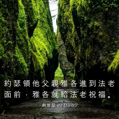 Picture 03 - 創 世 記 47:7 CUVT - 約 瑟 領 他 父 親 雅 各 進 到 法 老 - Bible Verse Picture