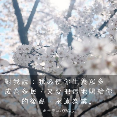 Picture 03 - 創 世 記 48:4 CUVT - 對 我 說 ： 我 必 使 你 生 養 眾 多 - Bible Verse Picture