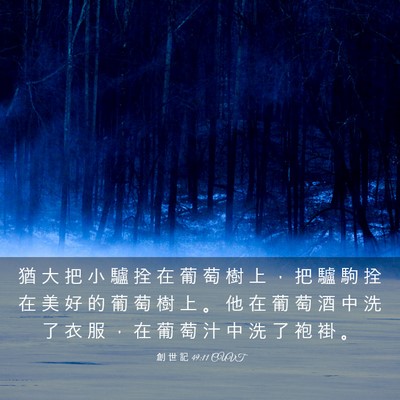 Picture 03 - 創 世 記 49:11 CUVT - 猶 大 把 小 驢 拴 在 葡 萄 樹 上 ， - Bible Verse Picture