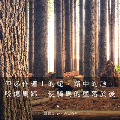 Picture 03 - 創 世 記 49:17 CUVT - 但 必 作 道 上 的 蛇 ， 路 中 的 虺 - Bible Verse Picture