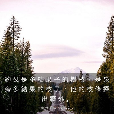 Picture 03 - 創 世 記 49:22 CUVT - 約 瑟 是 多 結 果 子 的 樹 枝 ， 是 - Bible Verse Picture