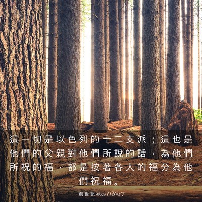 Picture 03 - 創 世 記 49:28 CUVT - 這 一 切 是 以 色 列 的 十 二 支 派 - Bible Verse Picture