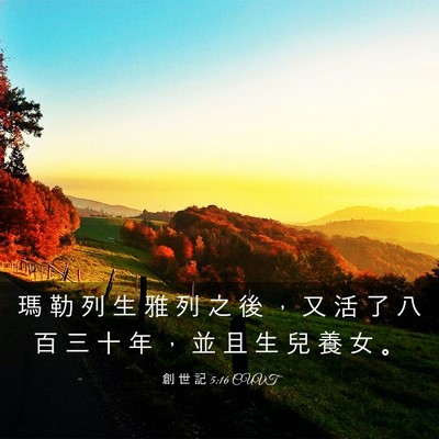 Picture 03 - 創 世 記 5:16 CUVT - 瑪 勒 列 生 雅 列 之 後 ， 又 活 了 - Bible Verse Picture