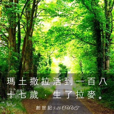 Picture 03 - 創 世 記 5:25 CUVT - 瑪 土 撒 拉 活 到 一 百 八 十 七 歲 - Bible Verse Picture