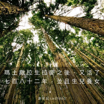 Picture 03 - 創 世 記 5:26 CUVT - 瑪 土 撒 拉 生 拉 麥 之 後 ， 又 活 - Bible Verse Picture