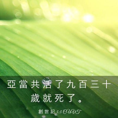 Picture 03 - 創 世 記 5:5 CUVT - 亞 當 共 活 了 九 百 三 十 歲 就 死 - Bible Verse Picture