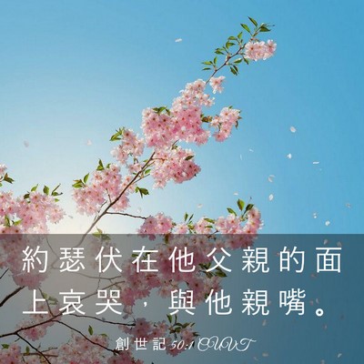 Picture 03 - 創 世 記 50:1 CUVT - 約 瑟 伏 在 他 父 親 的 面 上 哀 哭 - Bible Verse Picture