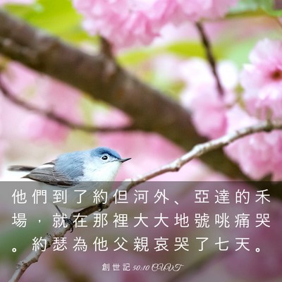 Picture 03 - 創 世 記 50:10 CUVT - 他 們 到 了 約 但 河 外 、 亞 達 的 - Bible Verse Picture