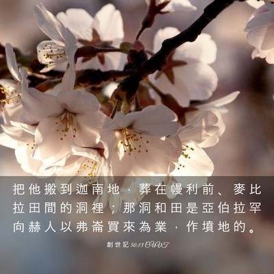 Picture 03 - 創 世 記 50:13 CUVT - 把 他 搬 到 迦 南 地 ， 葬 在 幔 利 - Bible Verse Picture