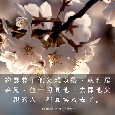 Picture 03 - 創 世 記 50:14 CUVT - 約 瑟 葬 了 他 父 親 以 後 ， 就 和 - Bible Verse Picture