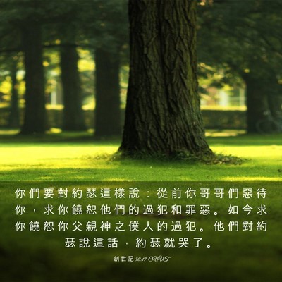 Picture 03 - 創 世 記 50:17 CUVT - 你 們 要 對 約 瑟 這 樣 說 ： 從 前 - Bible Verse Picture