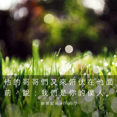 Picture 03 - 創 世 記 50:18 CUVT - 他 的 哥 哥 們 又 來 俯 伏 在 他 面 - Bible Verse Picture