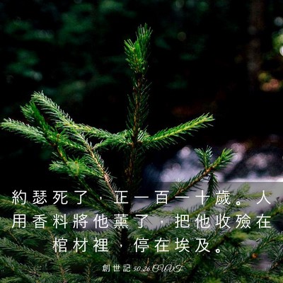 Picture 03 - 創 世 記 50:26 CUVT - 約 瑟 死 了 ， 正 一 百 一 十 歲 。 - Bible Verse Picture