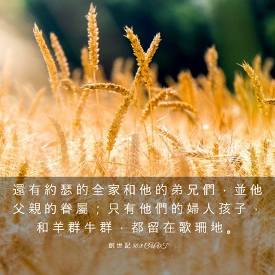 Picture 03 - 創 世 記 50:8 CUVT - 還 有 約 瑟 的 全 家 和 他 的 弟 兄 - Bible Verse Picture