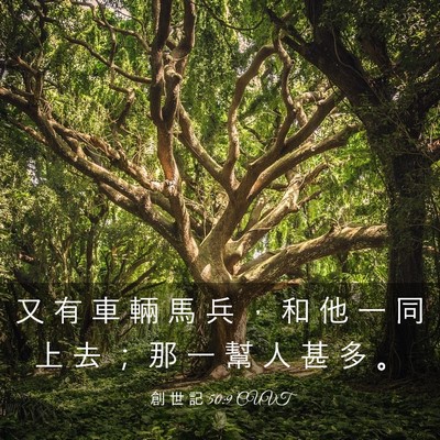 Picture 03 - 創 世 記 50:9 CUVT - 又 有 車 輛 馬 兵 ， 和 他 一 同 上 - Bible Verse Picture