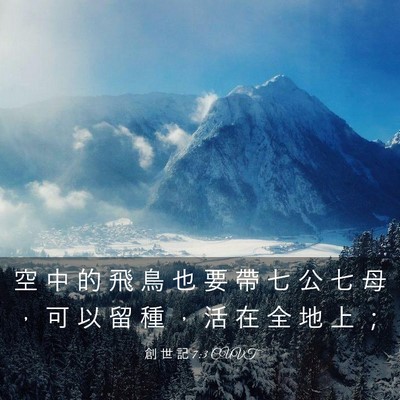 Picture 03 - 創 世 記 7:3 CUVT - 空 中 的 飛 鳥 也 要 帶 七 公 七 母 - Bible Verse Picture