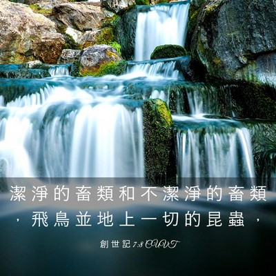 Picture 03 - 創 世 記 7:8 CUVT - 潔 淨 的 畜 類 和 不 潔 淨 的 畜 類 - Bible Verse Picture