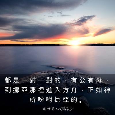 Picture 03 - 創 世 記 7:9 CUVT - 都 是 一 對 一 對 的 ， 有 公 有 母 - Bible Verse Picture