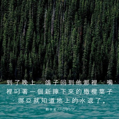 Picture 03 - 創 世 記 8:11 CUVT - 到 了 晚 上 ， 鴿 子 回 到 他 那 裡 - Bible Verse Picture