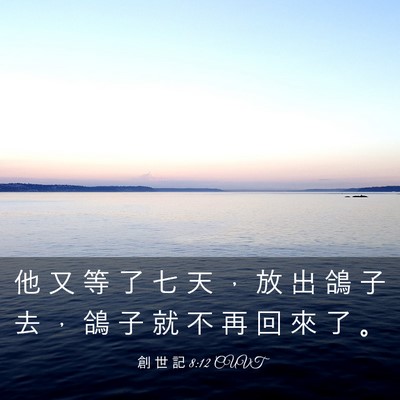 Picture 03 - 創 世 記 8:12 CUVT - 他 又 等 了 七 天 ， 放 出 鴿 子 去 - Bible Verse Picture