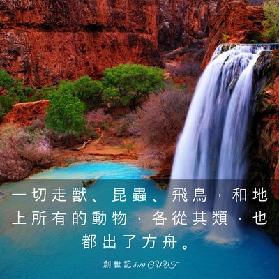 Picture 03 - 創 世 記 8:19 CUVT - 一 切 走 獸 、 昆 蟲 、 飛 鳥 ， 和 - Bible Verse Picture