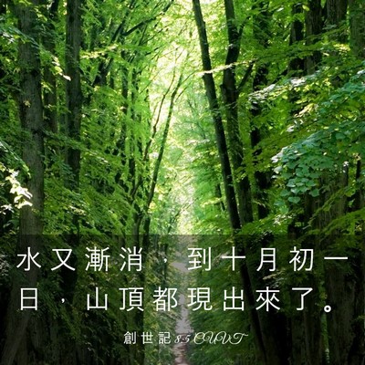 Picture 03 - 創 世 記 8:5 CUVT - 水 又 漸 消 ， 到 十 月 初 一 日 ， - Bible Verse Picture