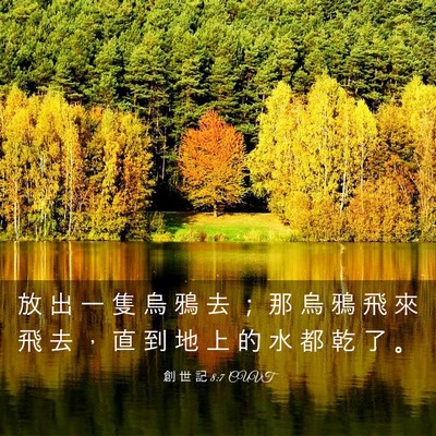 Picture 03 - 創 世 記 8:7 CUVT - 放 出 一 隻 烏 鴉 去 ； 那 烏 鴉 飛 - Bible Verse Picture