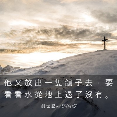 Picture 03 - 創 世 記 8:8 CUVT - 他 又 放 出 一 隻 鴿 子 去 ， 要 看 - Bible Verse Picture