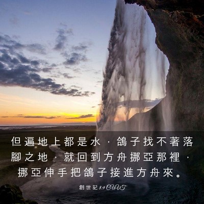 Picture 03 - 創 世 記 8:9 CUVT - 但 遍 地 上 都 是 水 ， 鴿 子 找 不 - Bible Verse Picture