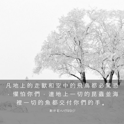 Picture 03 - 創 世 記 9:2 CUVT - 凡 地 上 的 走 獸 和 空 中 的 飛 鳥 - Bible Verse Picture