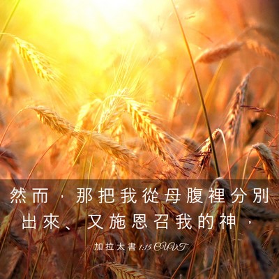 Picture 03 - 加 拉 太 書 1:15 CUVT - 然 而 ， 那 把 我 從 母 腹 裡 分 別 - Bible Verse Picture