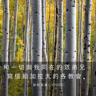 Picture 03 - 加 拉 太 書 1:2 CUVT - 和 一 切 與 我 同 在 的 眾 弟 兄 ， - Bible Verse Picture