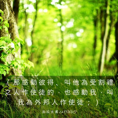 Picture 03 - 加 拉 太 書 2:8 CUVT - （ 那 感 動 彼 得 、 叫 他 為 受 割 - Bible Verse Picture